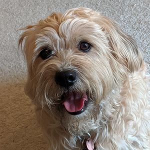 Meet your Posher, Leeanne